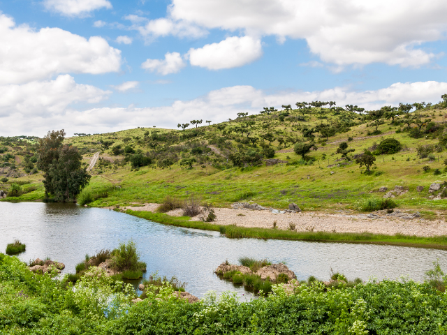 life eventi tour portogallo alentejo