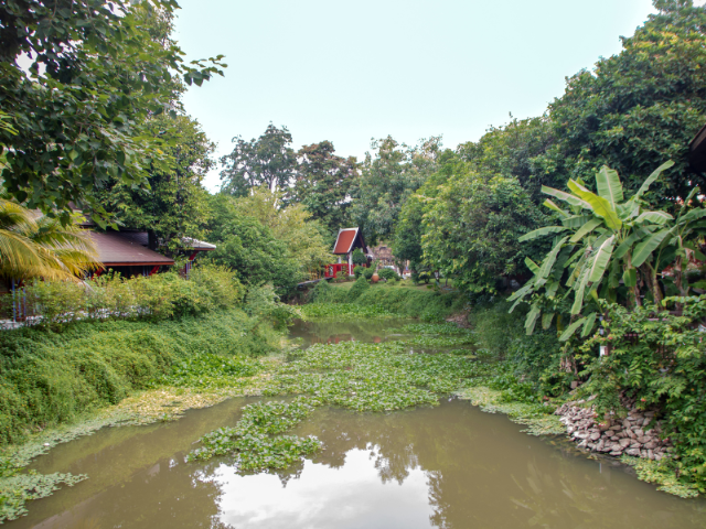 life eventi thailandia